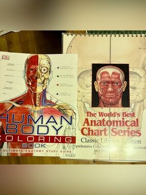 Human Anatomy Coloring & Chart Set - Red, White, Blue